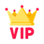 VIP Escorts - Premium Service